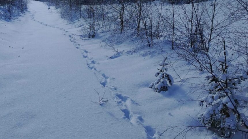 salvamont suceava anunta care sunt traseele montane pe care turistii trebuie sa le evite lista locurilor unde oamenii sunt in mare pericol 696743c734e12