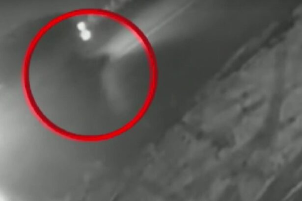 sofer din cluj retinut dupa un accident mortal a continuat drumul cu victima prinsa sub masina 69616641d6d65