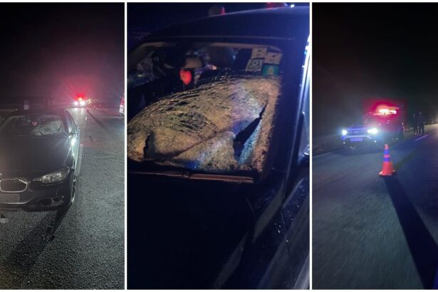 sofer din olt implicat intr un accident mortal in dolj 6960059b779ca