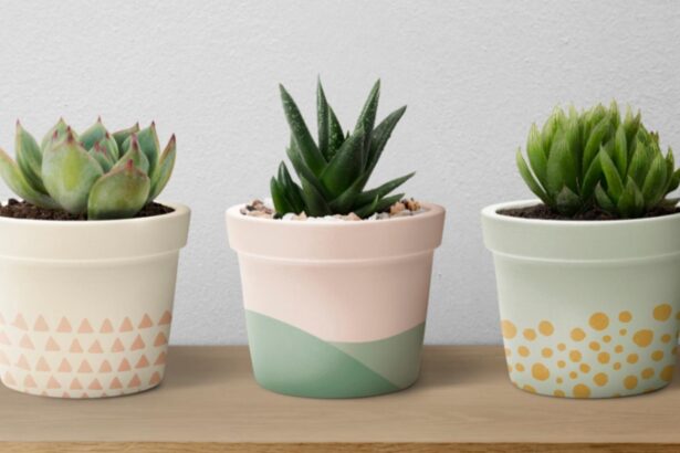 ue a pus tunurile pe banalele ghivece de flori un anumit tip va disparea din magazine pentru ca polueaza 6977872462839