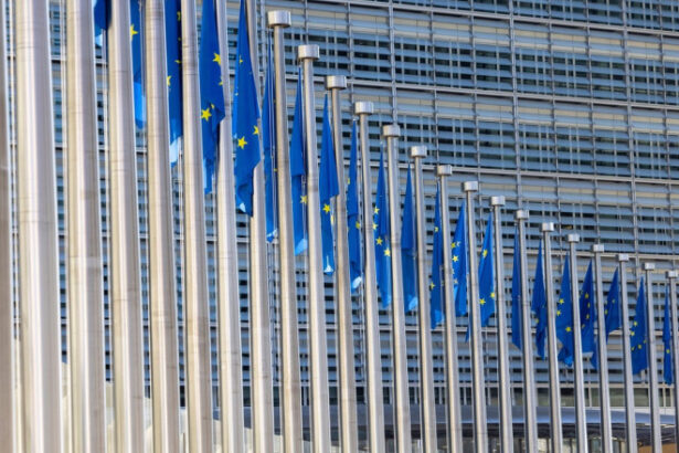 ue incearca sa deblocheze acordul de liber schimb cu mercosur italia este in centrul negocierilor de ultim moment 695d5a5d3a76d