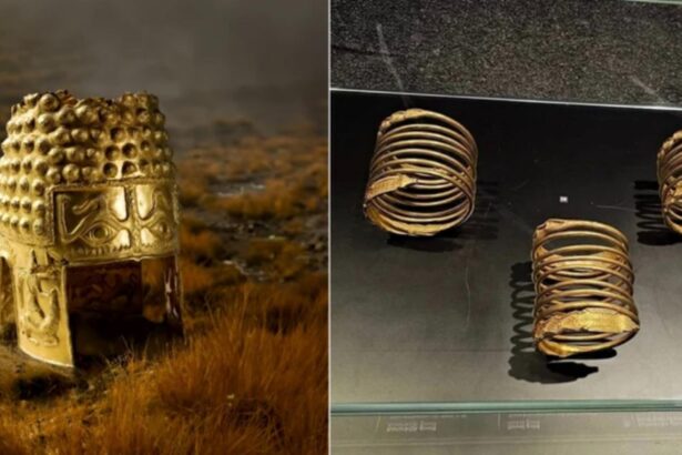 un an de la furtul coifului dacic de la cotofenesti detectivii de arta sunt convinsi ca va fi recuperat 6975b8574cc93