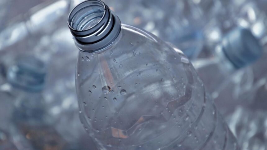 un pensionar sarman a ramas fara ajutor social dupa ce a declarat banii obtinuti din sticle reciclabile 695bbf0adaaa5