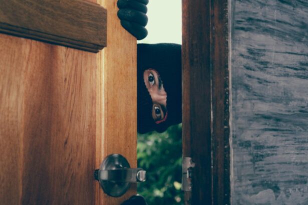 un primar din braila a fost jefuit chiar in noaptea de revelion greseala care le a inlesnit hotilor accesul in casa 695a8ad36101e