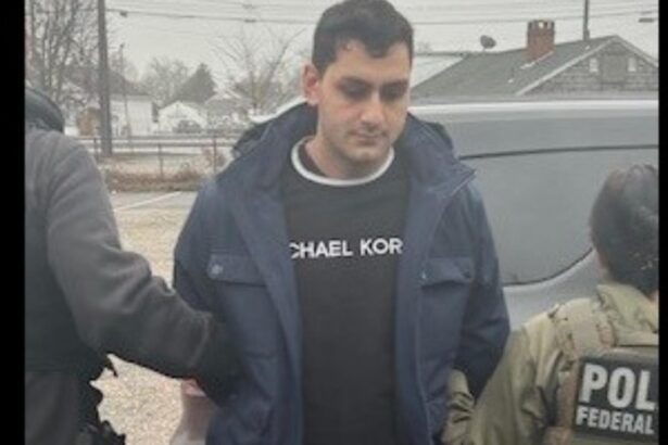 un roman a fost saltat de temuta agentie ice din sua compatriotul este acuzat de infractiuni grave 6968fd4f1394f