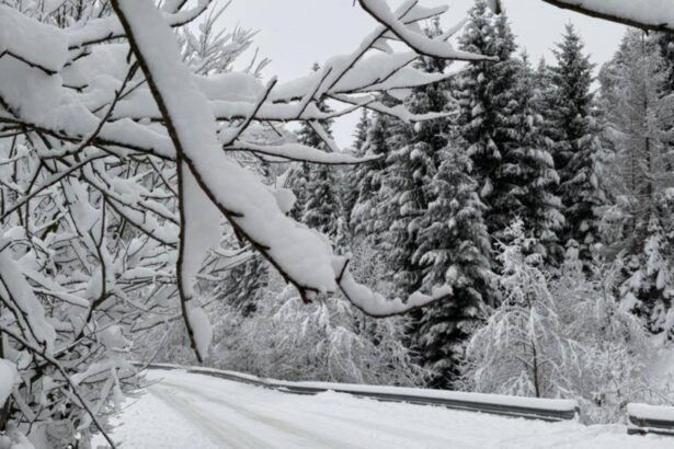 vreme extrema in tara in continuare ninge abundent in mai multe zone ce ne asteapta in orele urmatoare potrivit anm 6958d6e8a1132 1