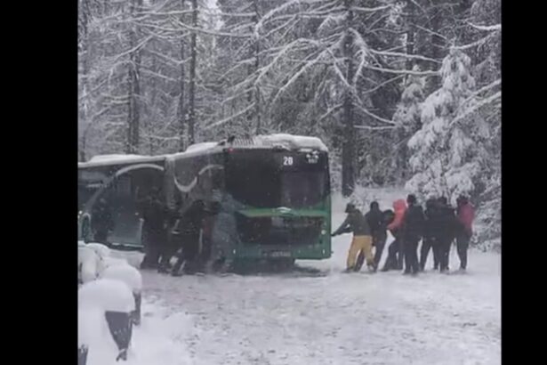 zapada da peste cap traficul la brasov autobuz impotmolit pe drumul spre poiana imagini incredibile cu calatorii care il trag video 69590ba998f81