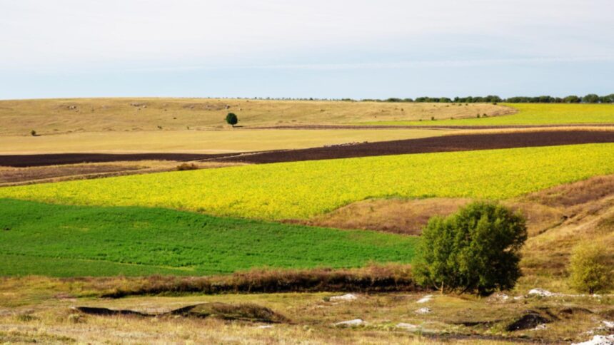 zona din romania unde un hectar de teren a ajuns sa se vanda cu 280 000 de euro cum mai arata piata terenurilor arabile in 2026 6970c35ab4ee6