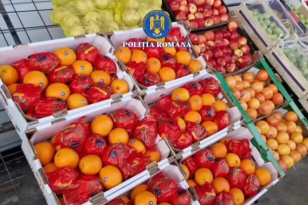 12 tone de portocale cu pesticide vandute romanilor sub eticheta falsa de grecia 12 persoane duse la audieri 698db5e4de213
