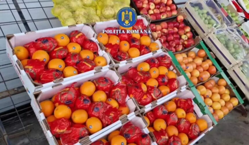 12 tone de portocale cu pesticide vandute romanilor sub eticheta falsa de grecia 12 persoane duse la audieri 698db5e4de213