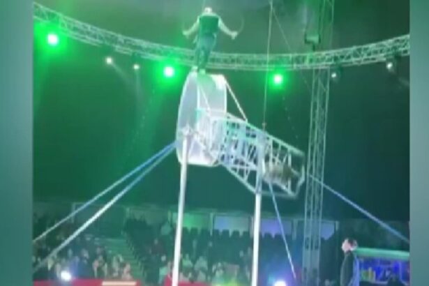 accident grav la circ in craiova acrobat prabusit de pe roata mortii de la patru metri inaltime 69935e83cd72b