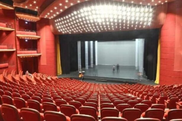 actorii de la tnb au anuntat ca vor protesta marti nemultumiti de masurile impuse de guvernul bolojan munca artistului nu este doar pe scena 6988737be3685 1