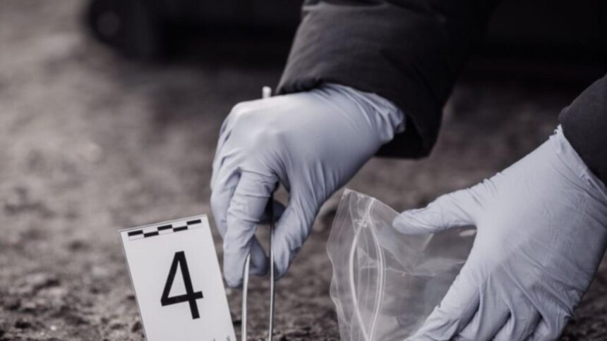 afacerist de 49 de ani mort in alexandria barbatul a fost gasit la ferma sa de la marginea orasului 69a1a90704bbb