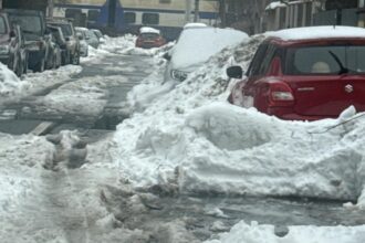 amenzi pe banda rulanta pentru deszapezirea dezastruoasa din sectorul 1 150 de dosare pentru operatorul de salubrizare si deszapezire 699dbef7996f7