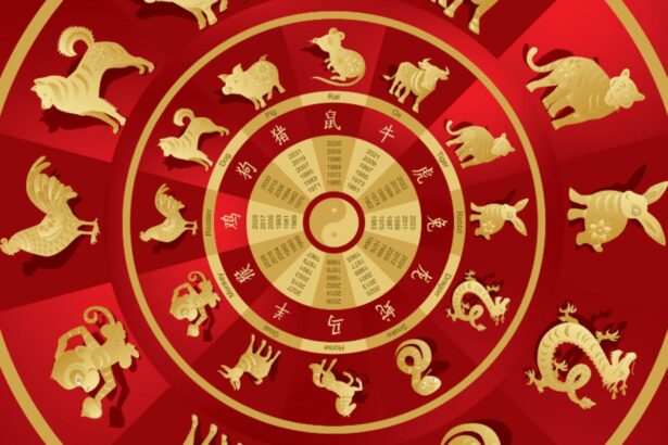 anul nou chinezesc 2026 ce trebuie sa faci ca sa atragi norocul si prosperitatea inca din prima zi 6994b6fa0d07e