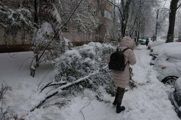 bilantul mai pentru cele doua zile de urgie a zapezii stalpi rupti copaci prabusiti sute de autovehicule avariate 6996c3f9ec3e8
