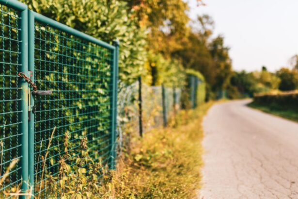 ce risca proprietarii care incalca linia de hotar de la amenzi usturatoare pana la raspundere penala 697e7596f058d