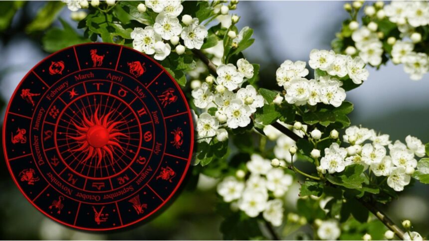 cine sunt zodiile care scapa de ghinion in luna martie vor simti cum echilibrul revine in viata lor 69a2d510292e2