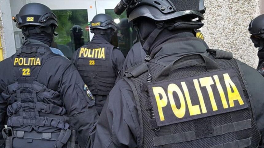 descinderi in timis dupa crima socanta din cenei droguri si arme gasite de anchetatori cinci persoane duse la audieri 69a012646c43d