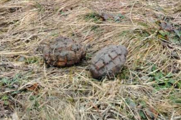 descoperire exploziva in aiud doua grenade fara focos gasite pe o strada 6988d2887b8ca