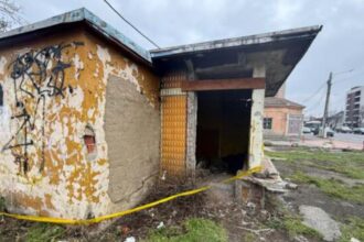 descoperire macabra in timisoara un barbat a fost gasit fara viata intr o casa parasita 6995a8632f4ef