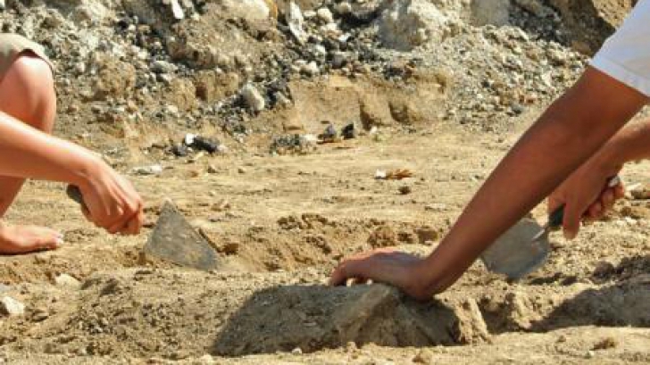 descoperirea arheologica veche de 50 de milioane de ani facuta de un copil 69a17a24edd09