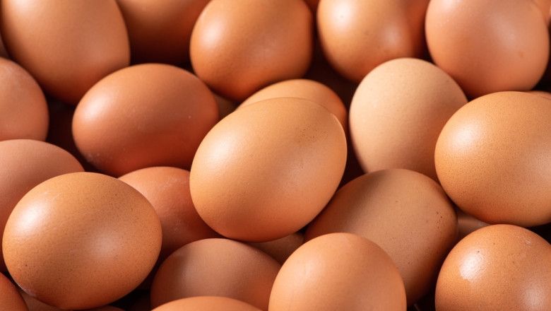 dosarele raffaello merci si 30 de oua cum au respins judecatorii valceni acordurile de recunoastere pentru mita derizorie 698349f3deca6