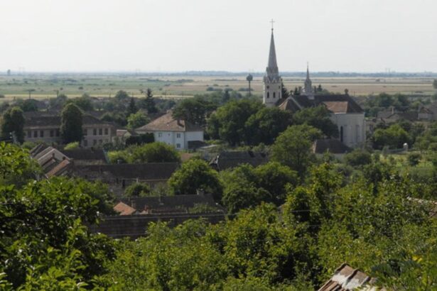 doua comune se unesc ca sa supravietuiasca austeritatii lui bolojan 698e4be872b63