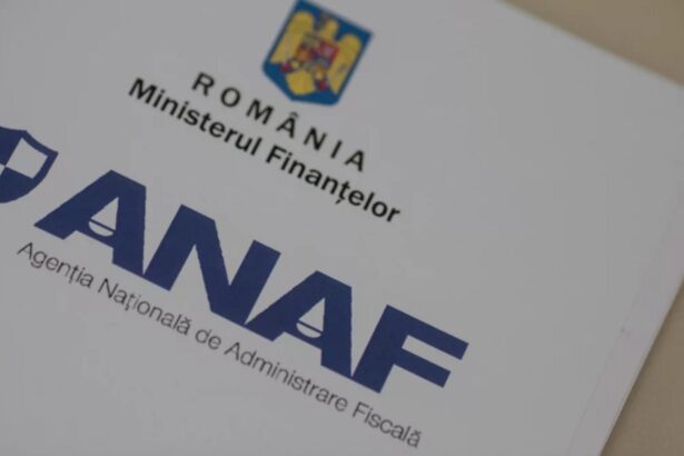 firmele romanesti in bucluc anaf a primit puteri prin care poate ingheta o firma pentru o singura greseala contabila 699c6c6602ae0