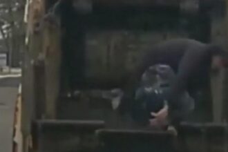 fugar prins dupa ce a sarit dintr un tomberon a fost descoperit de un angajat de la salubritate 699ff88009381