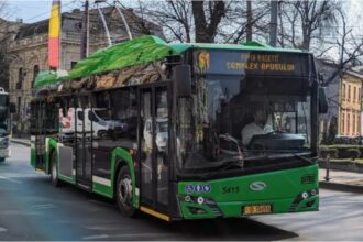 haos in traficul bucurestean linii de troleibuz blocate de un copac prabusit si multiple incidente pe traseele stb 6998a32ce1899