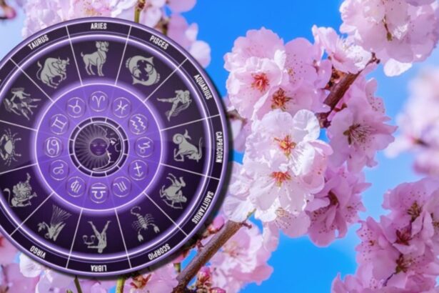 horoscopul lunii martie intalniri scrise in stele universul nu te mai lasa sa fugi doua zodii isi schimba viata din temelii 69a1c2db56f74