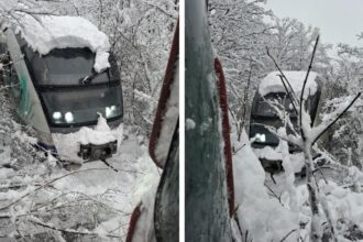 imagini socante de pe ruta bucuresti urziceni trenul circula cu 10 km h prins intre copaci si troiene uriase video 6995840807d1f