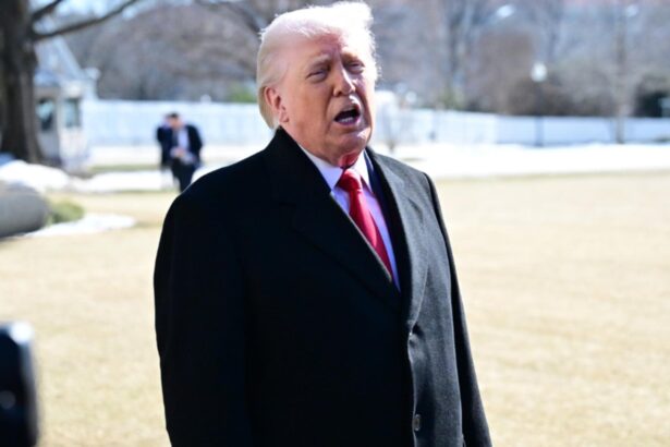 inca o tara il refuza pe trump si spune nu consiliului pentru pace 698f63fab20e7