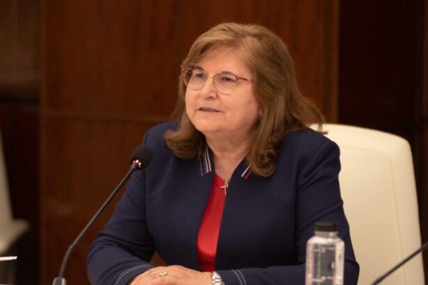 intarzieri si pierderi la pensii doina parcalabu dezvaluie neregulile 698779f338575