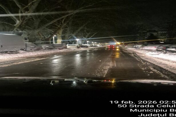 interventie exemplara braila gestionata eficient in fata naturii munca si decizii asumate 6996defcd152e