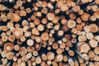 mafia lemnului destructurata in bihor patru persoane retinute pentru furt si introducere de date false in aplicatia sumal 2 0 698c9816c694c