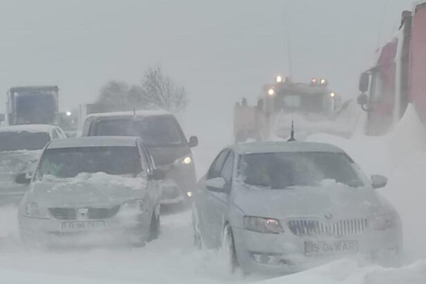 ministrul dragos pislaru a gasit solutia la haosul din bucuresti cauzat de ninsori ramaneti acasa alaturi de familie si cei dragi 6995eb132292b