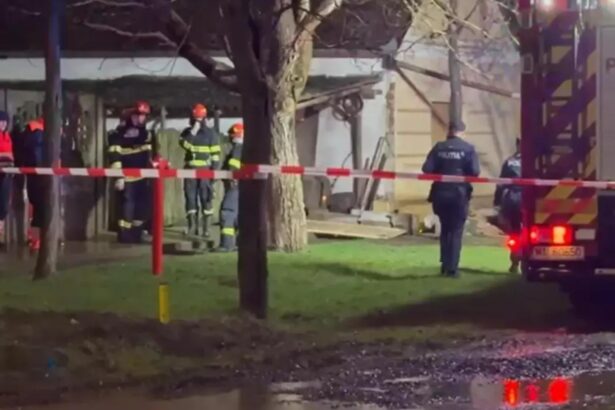 moarte cumplita pentru o femeie din timis si a pierdut viata dupa ce un zid al casei s a prabusit peste ea 6998c53e0c74f