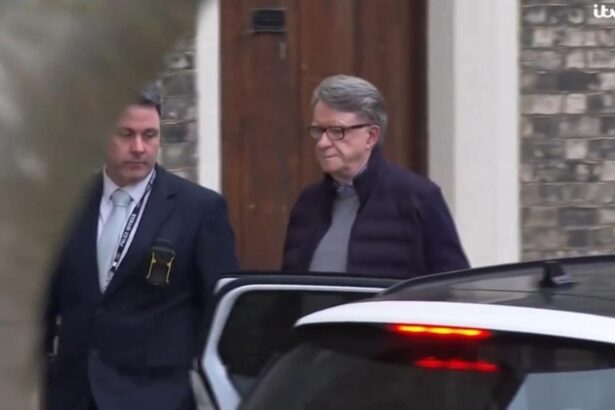 noi detalii din dosarul epstein fostul ambasador britanic in sua peter mandelson arestat intr o ancheta privind abuz in serviciu 699ca00350031