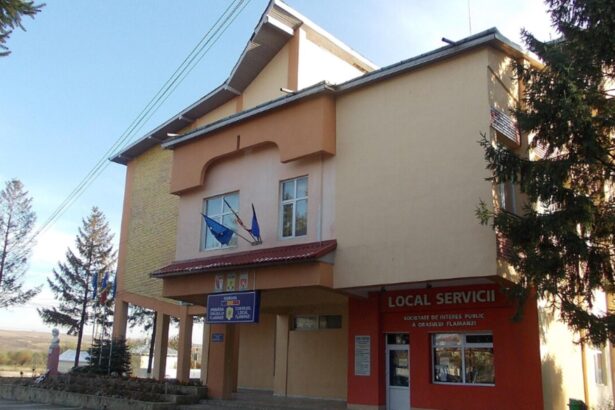 nu platim nimic revolta fiscala in orasul unde s a aprins scanteia rascoalei din 1907 6982fd7b7b808