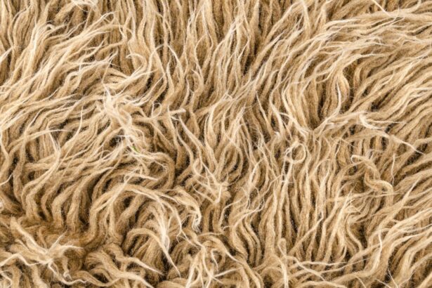 pericolul invizibil din mocheta boli pe care le poti dezvolta semnal de alarma tras de specialisti 699eb2c7172ce