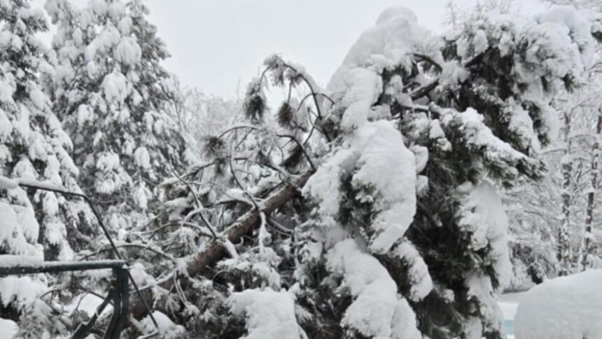 peste 100 de interventii ale pompierilor in bucuresti si ilfov copaci cazuti si zeci de masini avariate 699554017073b
