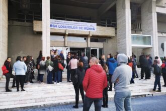 peste 250 de persoane angajate in luna ianuarie cu sprijinul ajofm olt 699d6b8584dd4