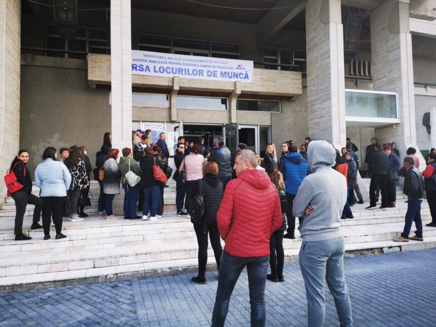 peste 250 de persoane angajate in luna ianuarie cu sprijinul ajofm olt 699d6b8584dd4