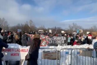 peste 700 de persoane protesteaza in fata parlamentului impotriva eutanasierii in masa a animalelor video 699b2f35e056a