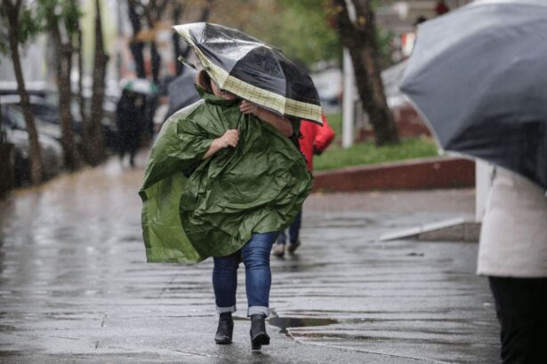 ploi in aproape toata tara pana miercuri oltul sub cod galben de vant 699c24e9e6bbf