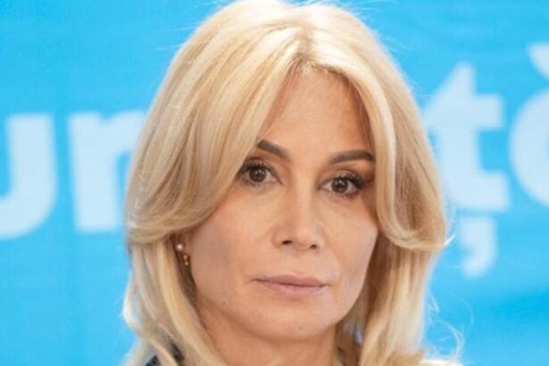 pnl propune modificari la legea de functionare a curtii constitutionale raluca turcan independenta judecatorilor nu este afectata 698061daa7b71