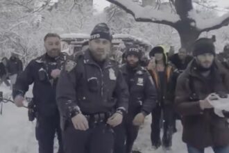 politia a arestat un barbat dupa o bataie cu bulgari de zapada incidentul care a aprins spiritele la new york 69a1e600078b5