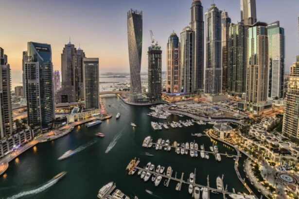 printul de dubai din spatele tastaturii a lasat o romanca fara 2 milioane de dolari dar cu o plangere la diicot video 698222dde2762